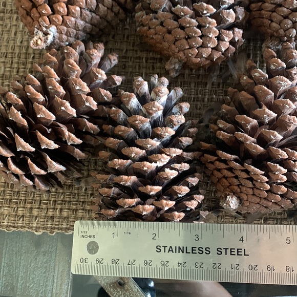 X9 natural large pine cones / Christmas home decorations / Great for Crafts - Picture 5 of 5